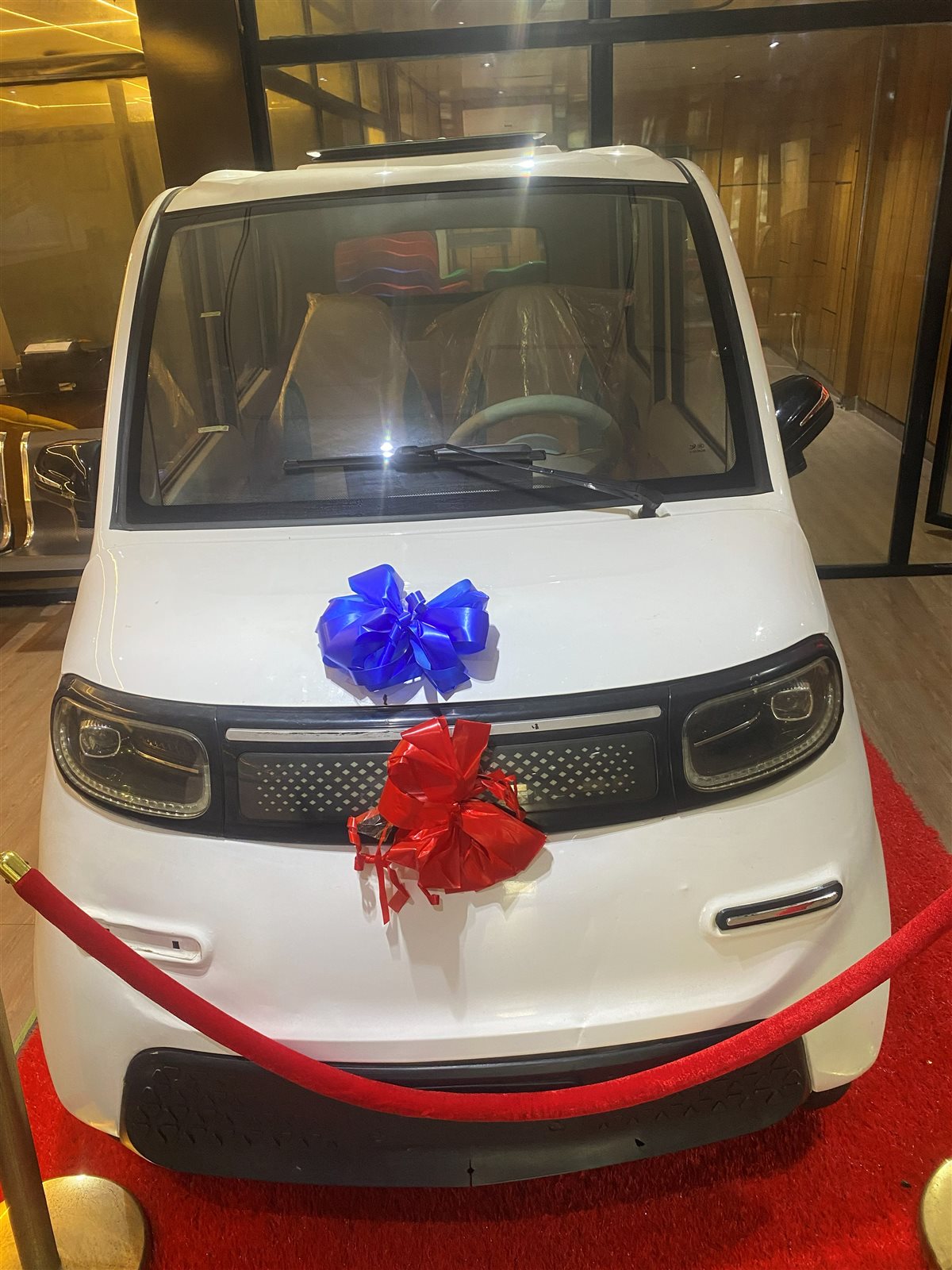 FaZona Electric Tricycle