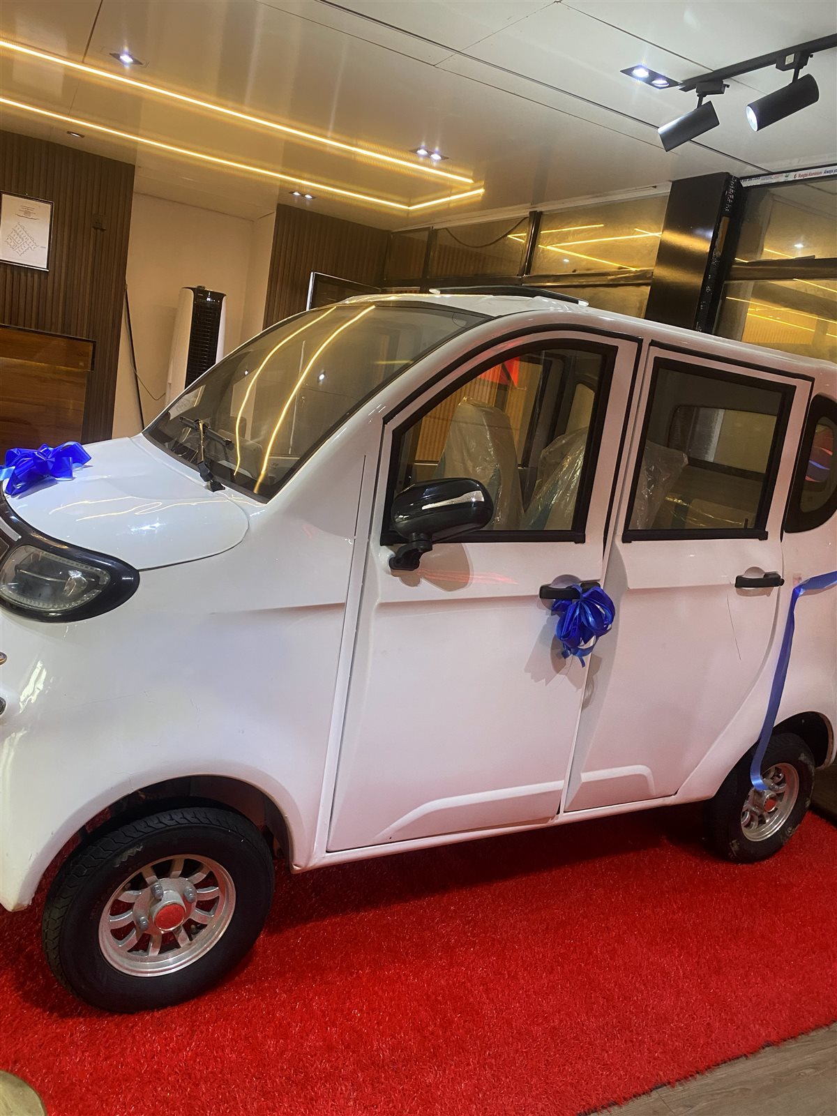 FaZona Electric Tricycle photo 5